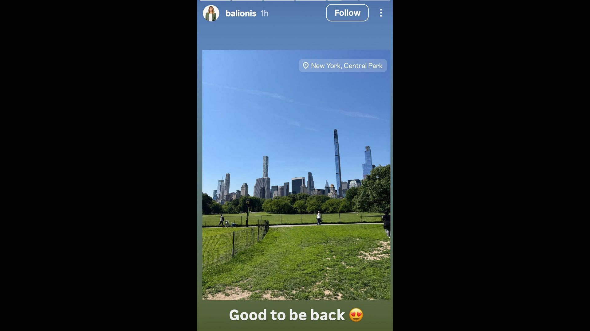 Screenshot of Balionis' Instagram story/Source: @balionis on IG